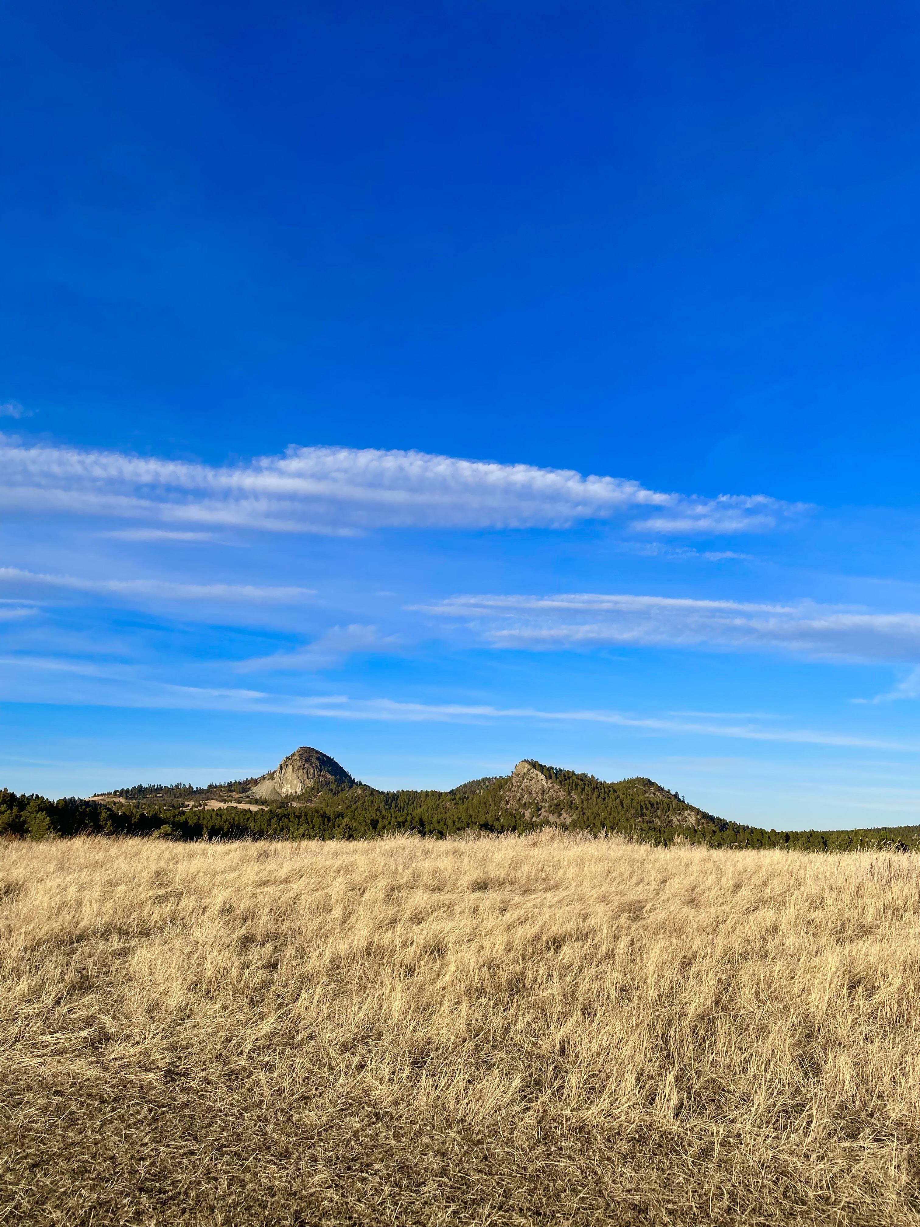 Wyoming grassland and mountains