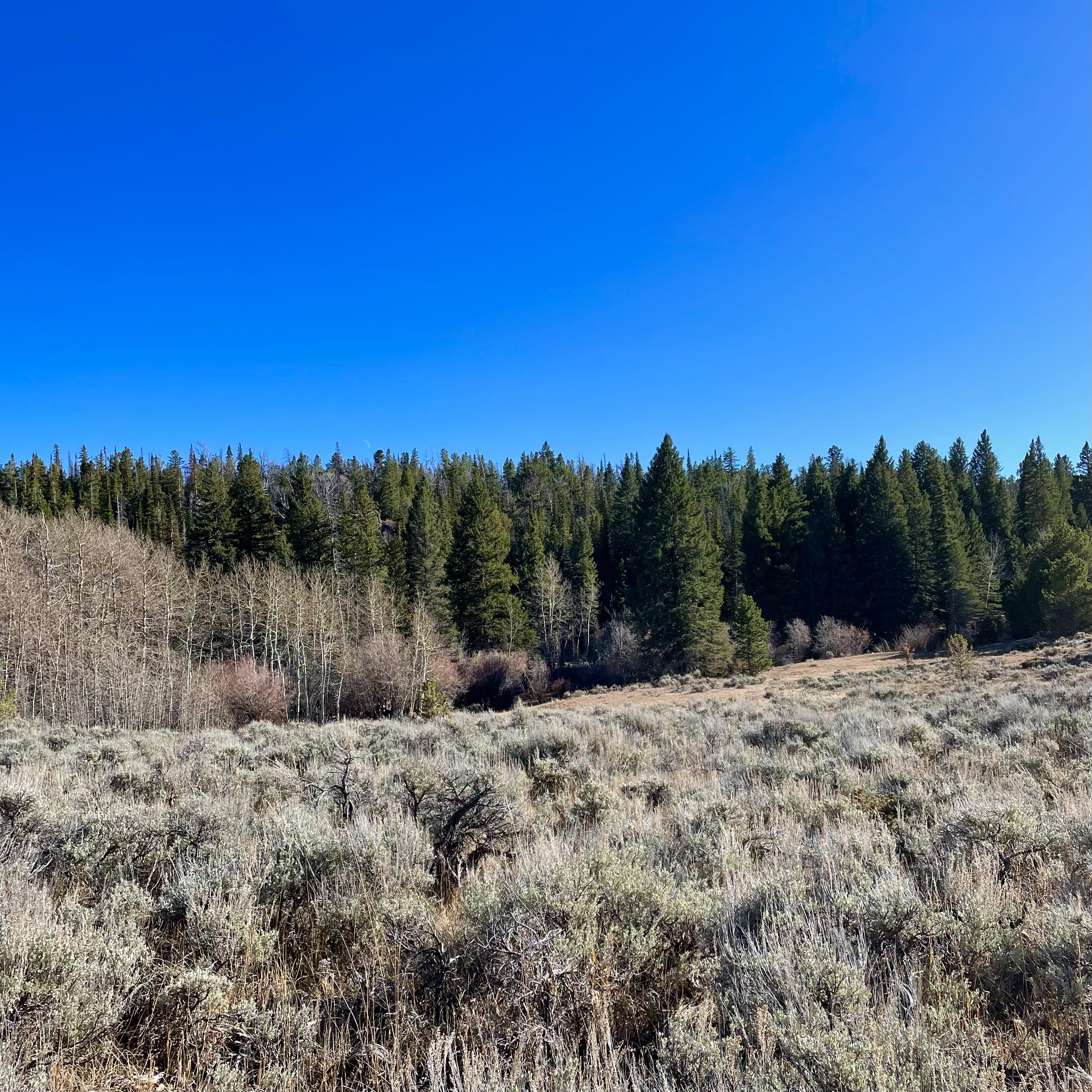 Wyoming landscape near Laramie